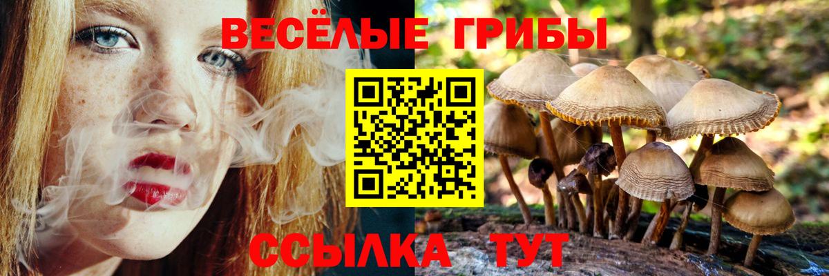 Псилоцибиновые грибы Magic Shrooms  Вход с VPN  Волжский 
